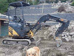 Mini Excavator